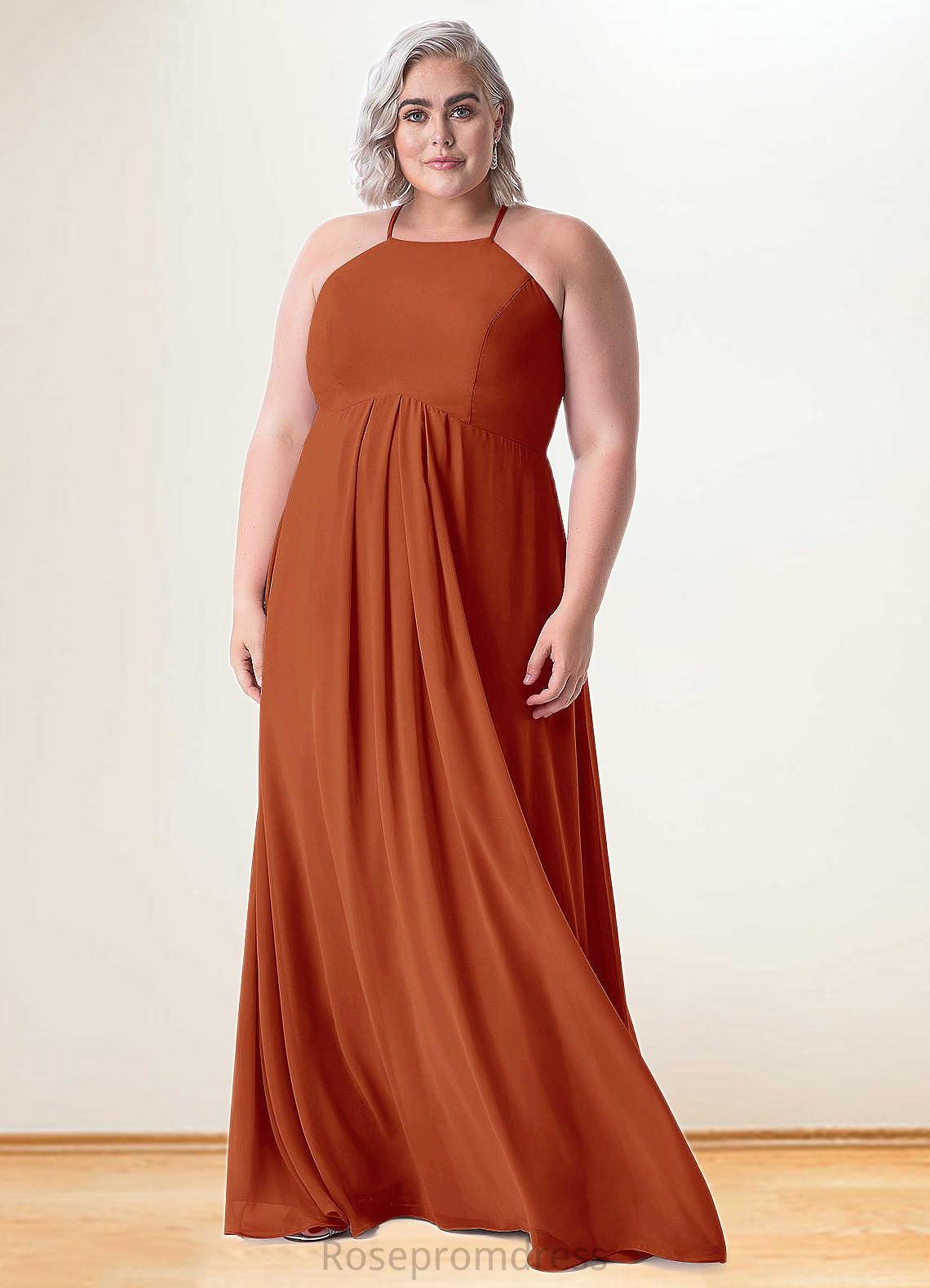 Nellie Empire Pleated Chiffon Floor-Length Dress SRSP0019686