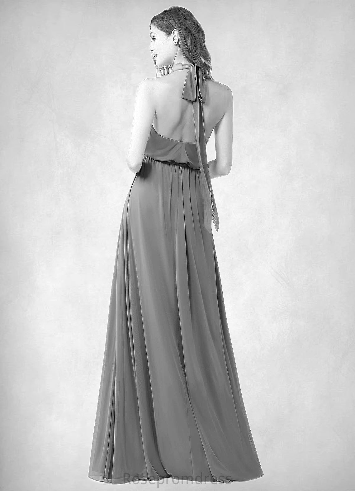 Jaelyn A-Line Pleated Mesh Floor-Length Dress SRSP0019674