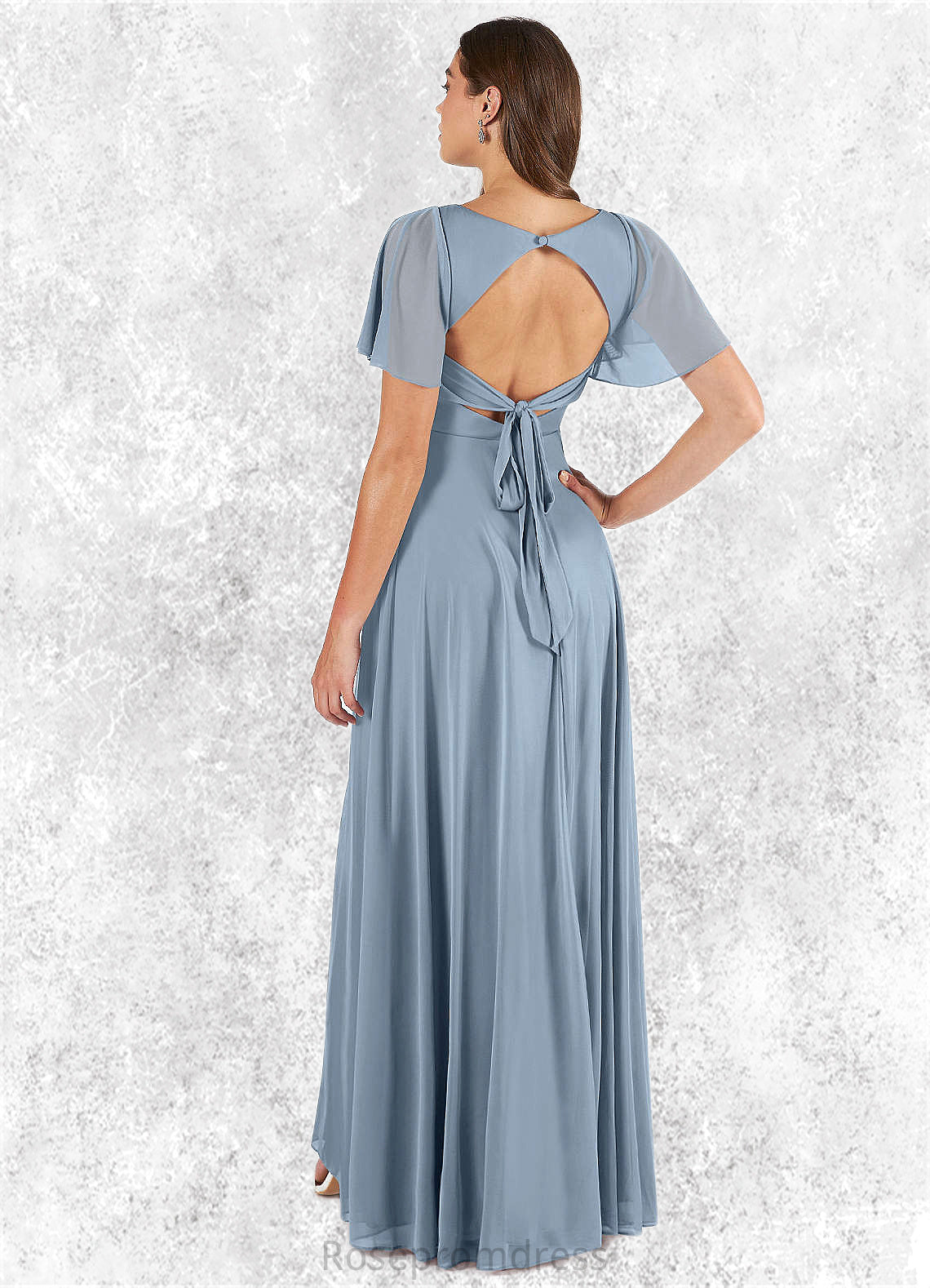 Mabel A-Line Pleated Mesh Floor-Length Dress SRSP0019633