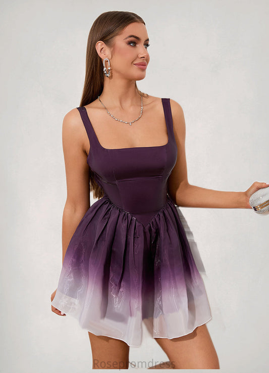 Phoebe Ruffle Straight Sexy A-line Organza Mini Dresses SRSP0022481