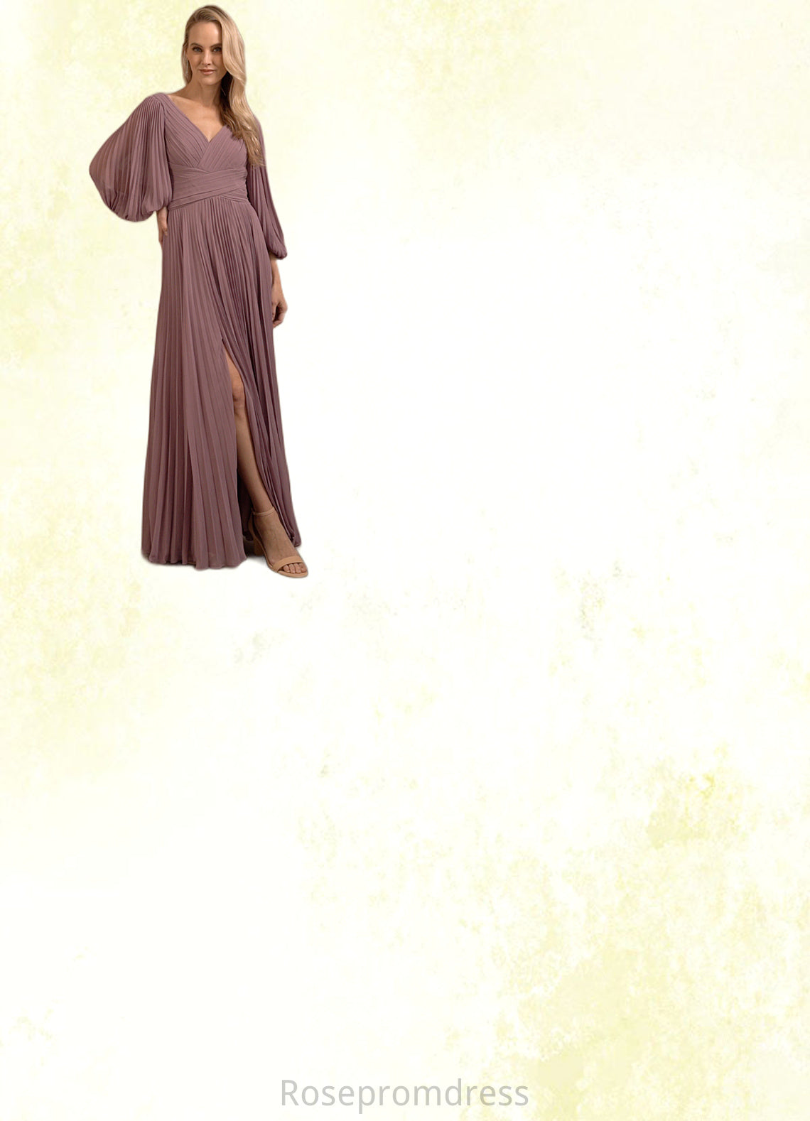 Felicity A-Line V-Neck Pleated Chiffon Floor-Length Dress SRSP0022642