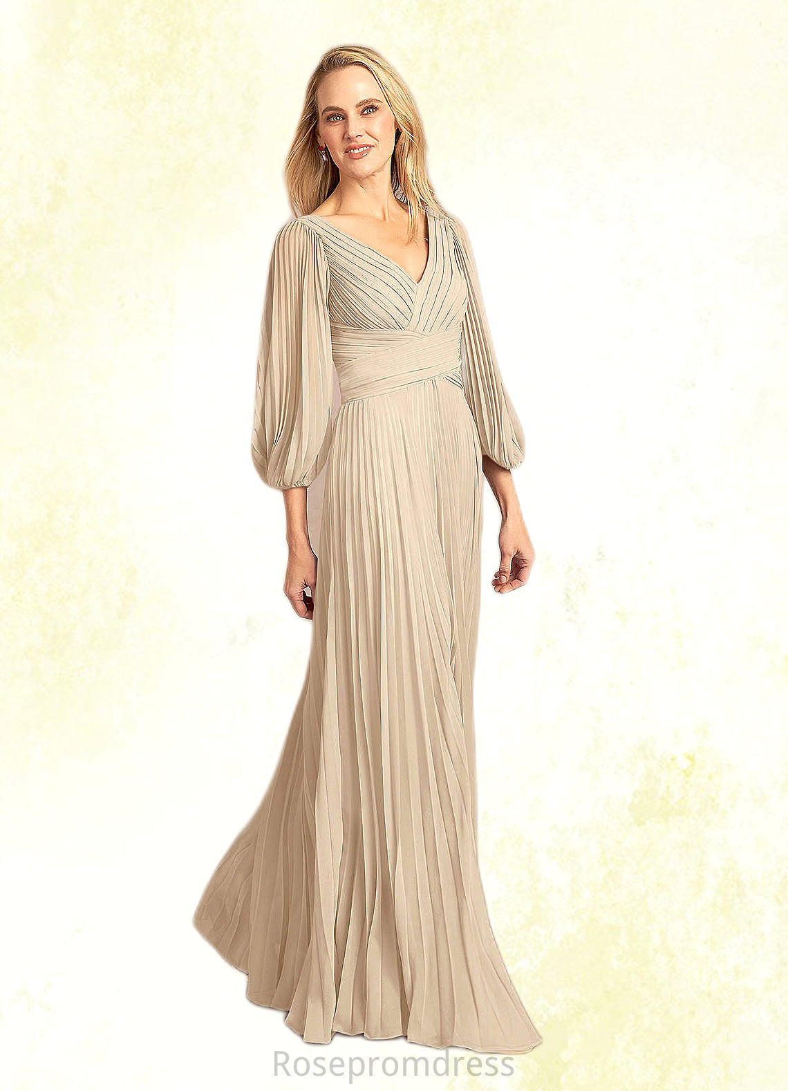 Felicity A-Line V-Neck Pleated Chiffon Floor-Length Dress SRSP0022642