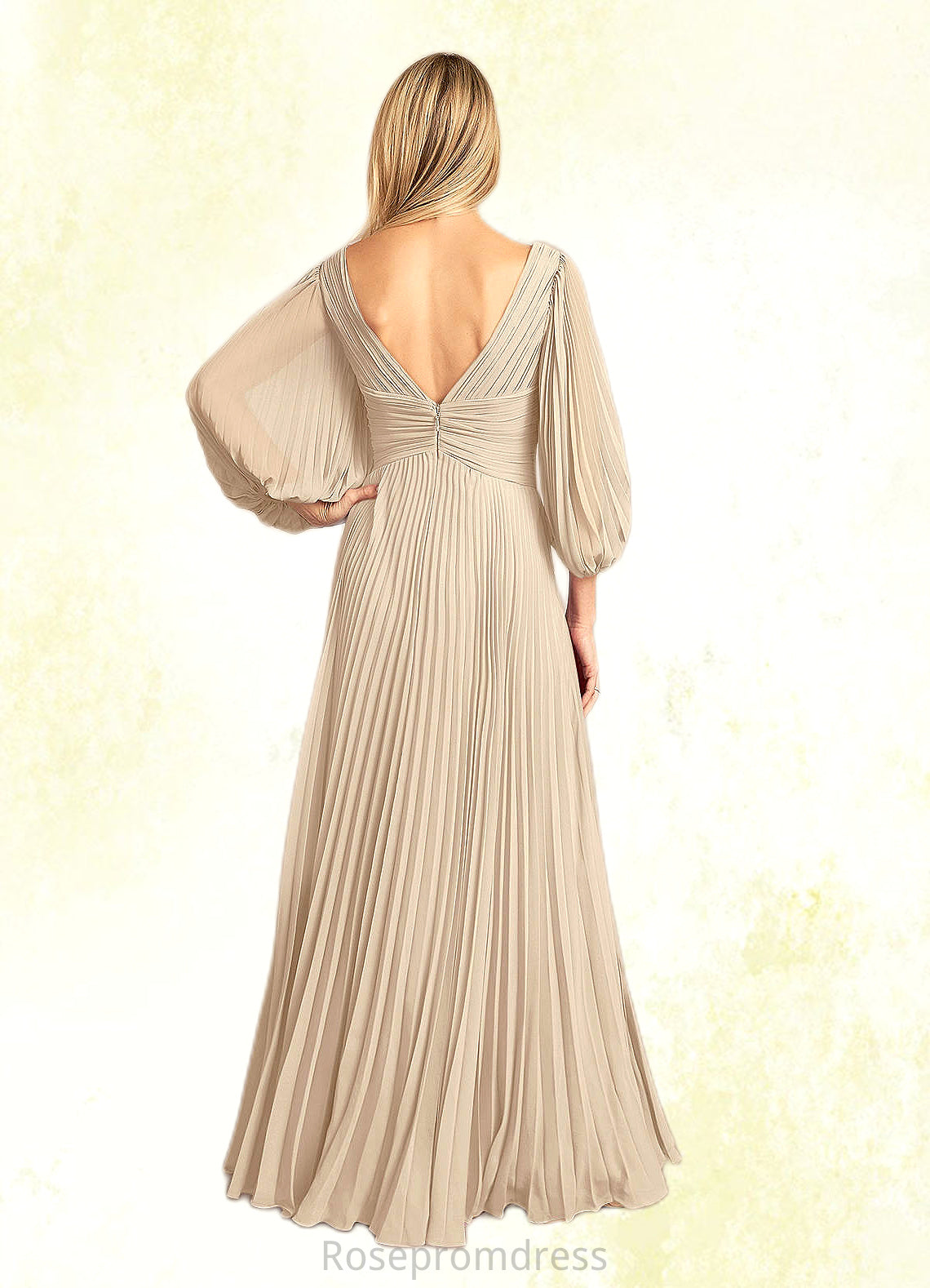 Felicity A-Line V-Neck Pleated Chiffon Floor-Length Dress SRSP0022642