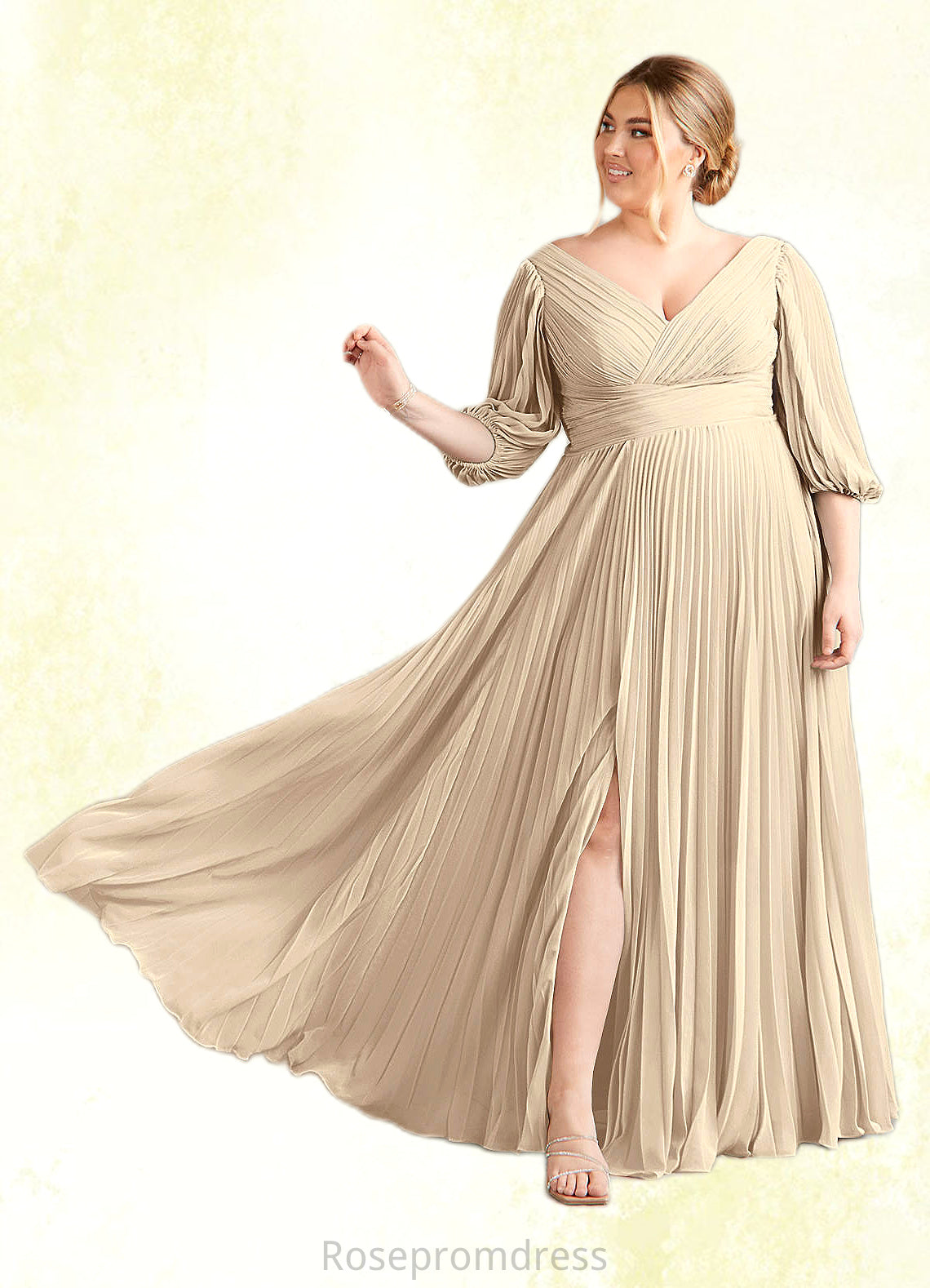 Felicity A-Line V-Neck Pleated Chiffon Floor-Length Dress SRSP0022642