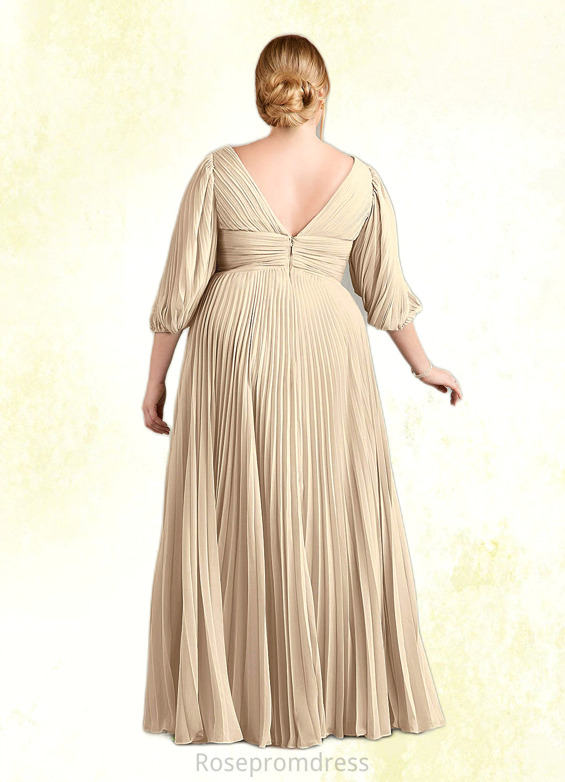 Felicity A-Line V-Neck Pleated Chiffon Floor-Length Dress SRSP0022642