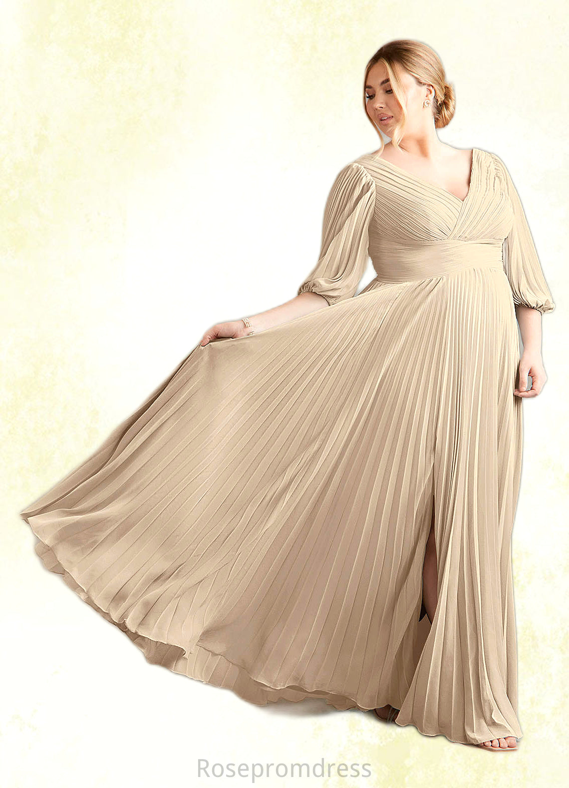 Felicity A-Line V-Neck Pleated Chiffon Floor-Length Dress SRSP0022642