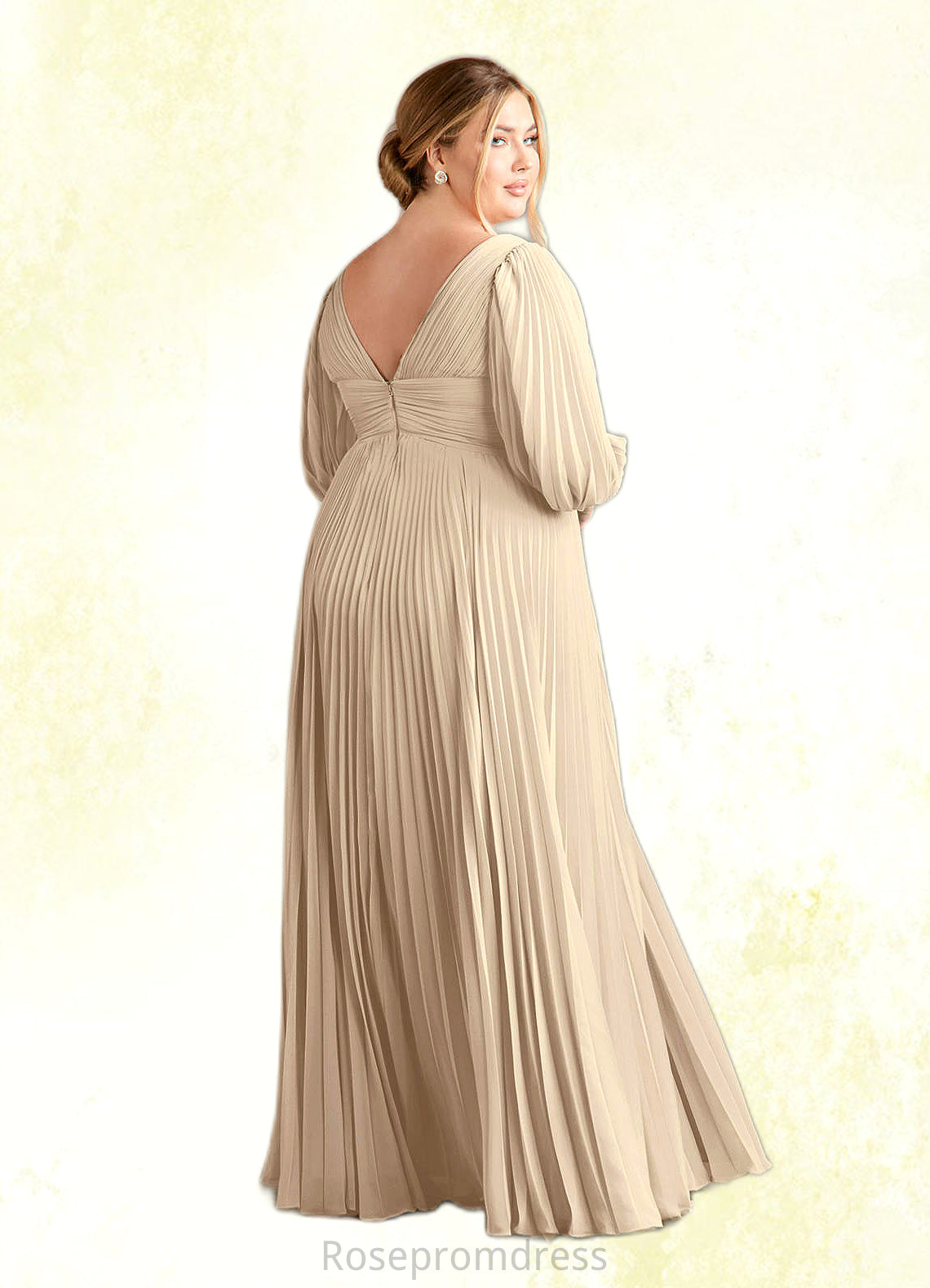 Felicity A-Line V-Neck Pleated Chiffon Floor-Length Dress SRSP0022642