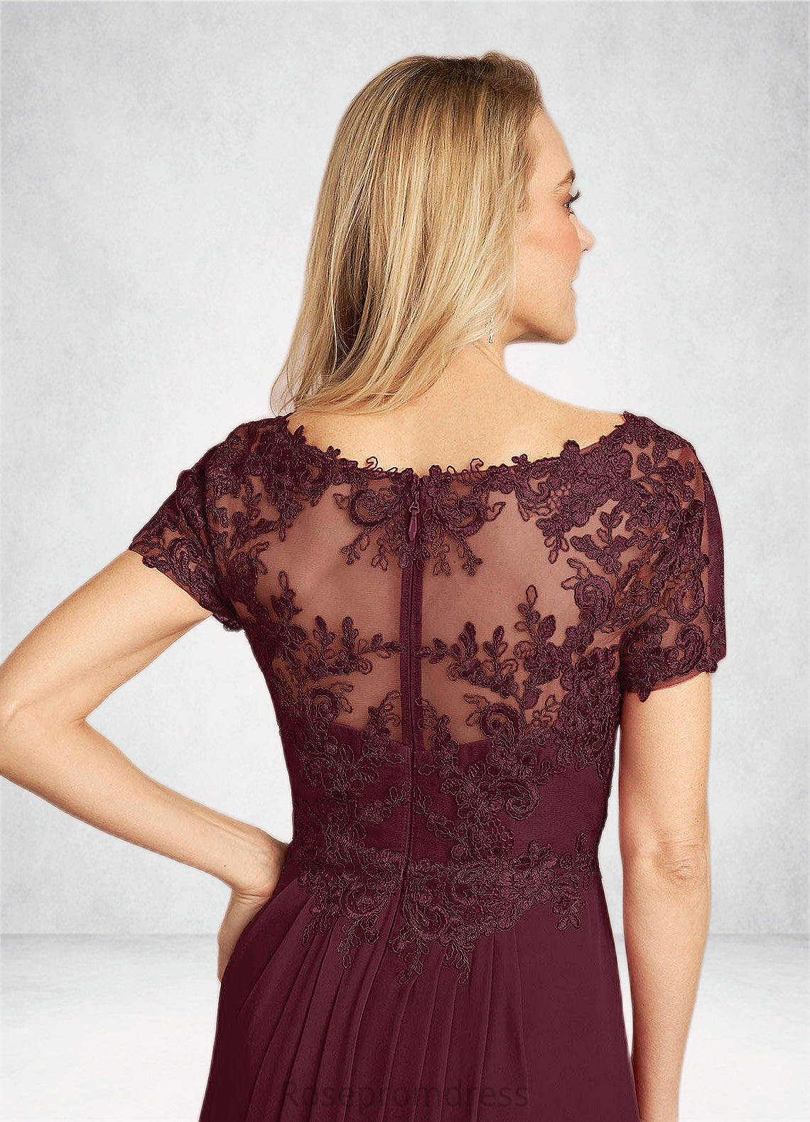 Natalia A-Line Lace Chiffon Floor-Length Dress SRSP0022662