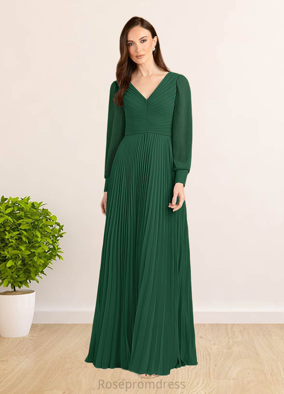 Kassandra A-Line Pleated Chiffon Floor-Length Dress SRSP0022670