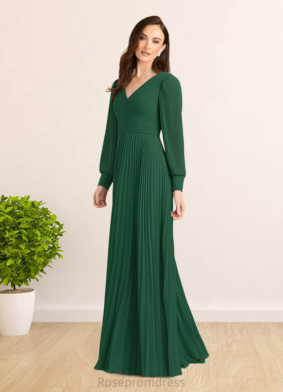 Kassandra A-Line Pleated Chiffon Floor-Length Dress SRSP0022670