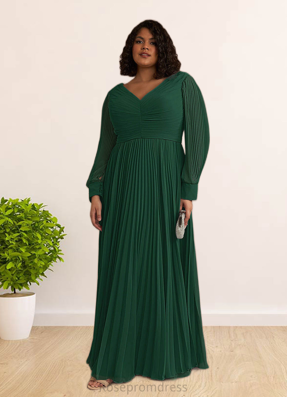 Kassandra A-Line Pleated Chiffon Floor-Length Dress SRSP0022670