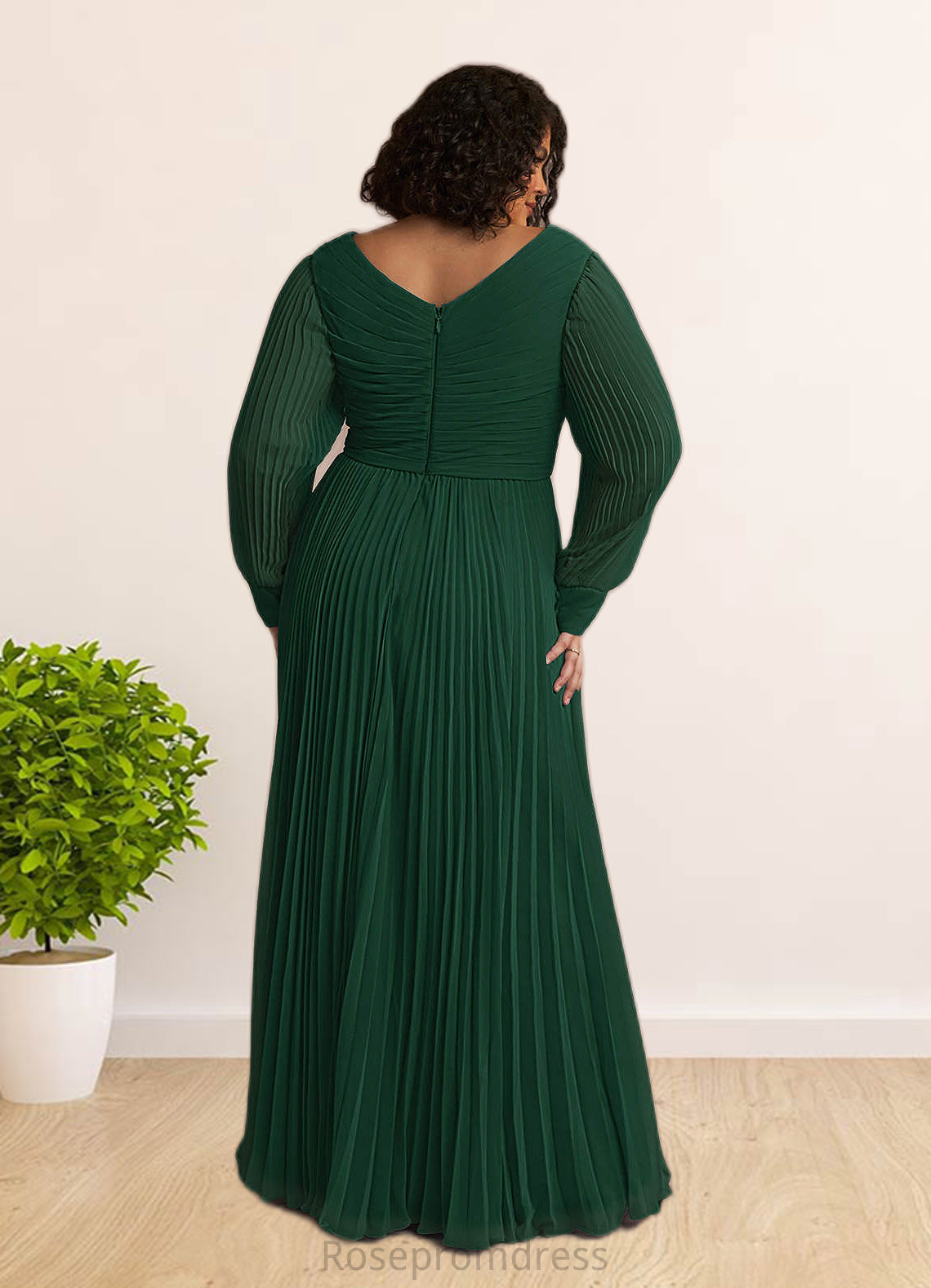 Kassandra A-Line Pleated Chiffon Floor-Length Dress SRSP0022670