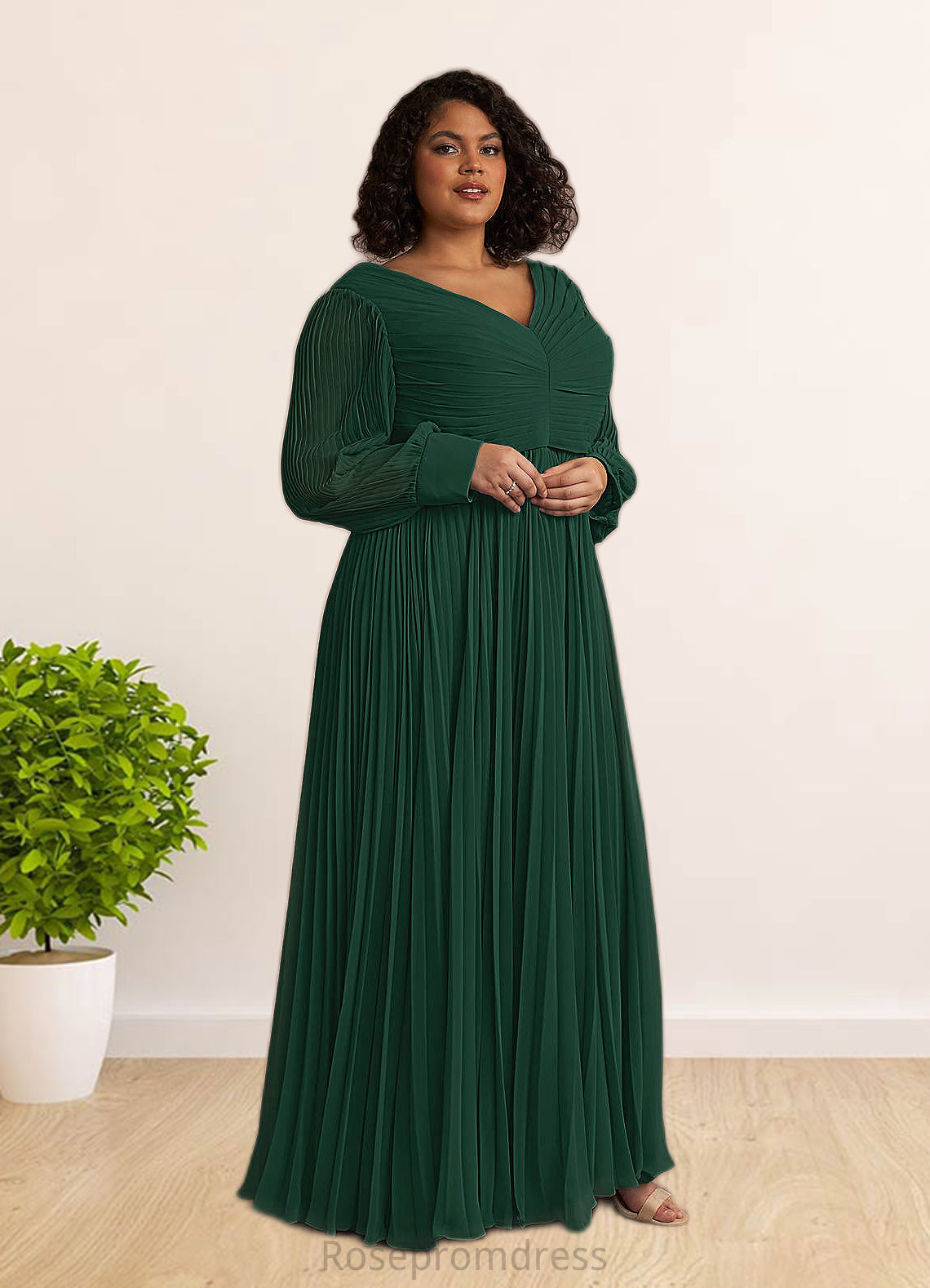 Kassandra A-Line Pleated Chiffon Floor-Length Dress SRSP0022670