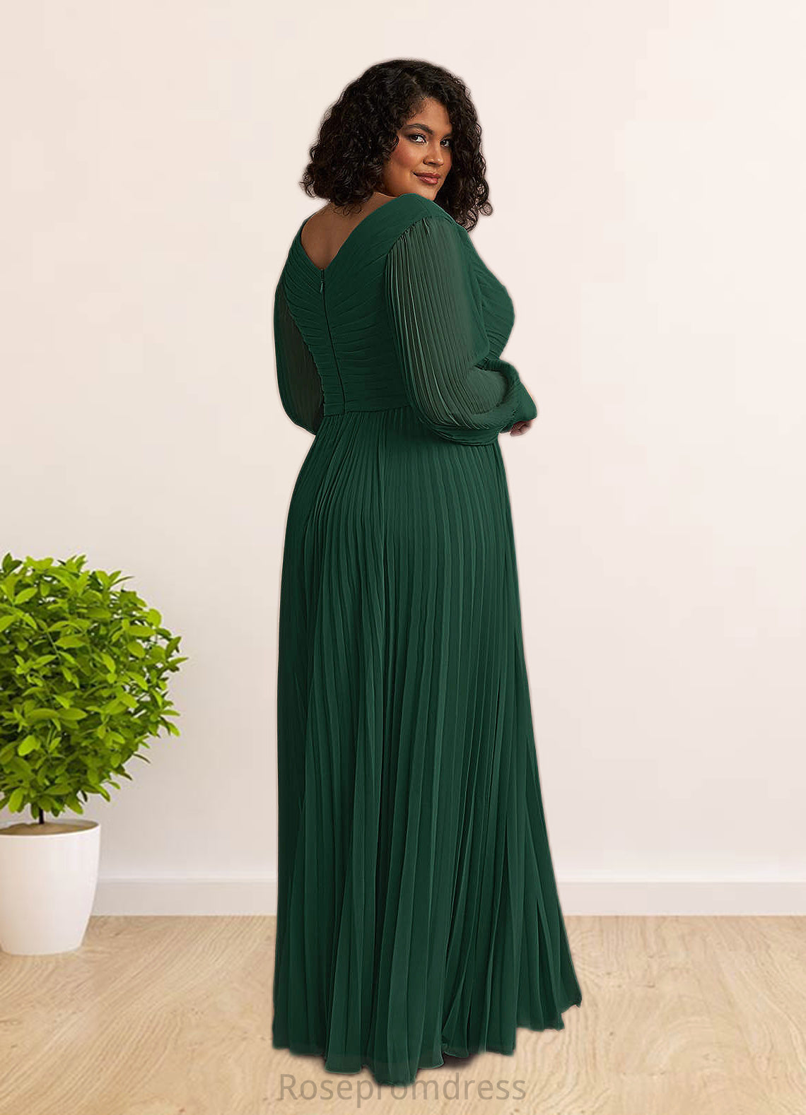 Kassandra A-Line Pleated Chiffon Floor-Length Dress SRSP0022670