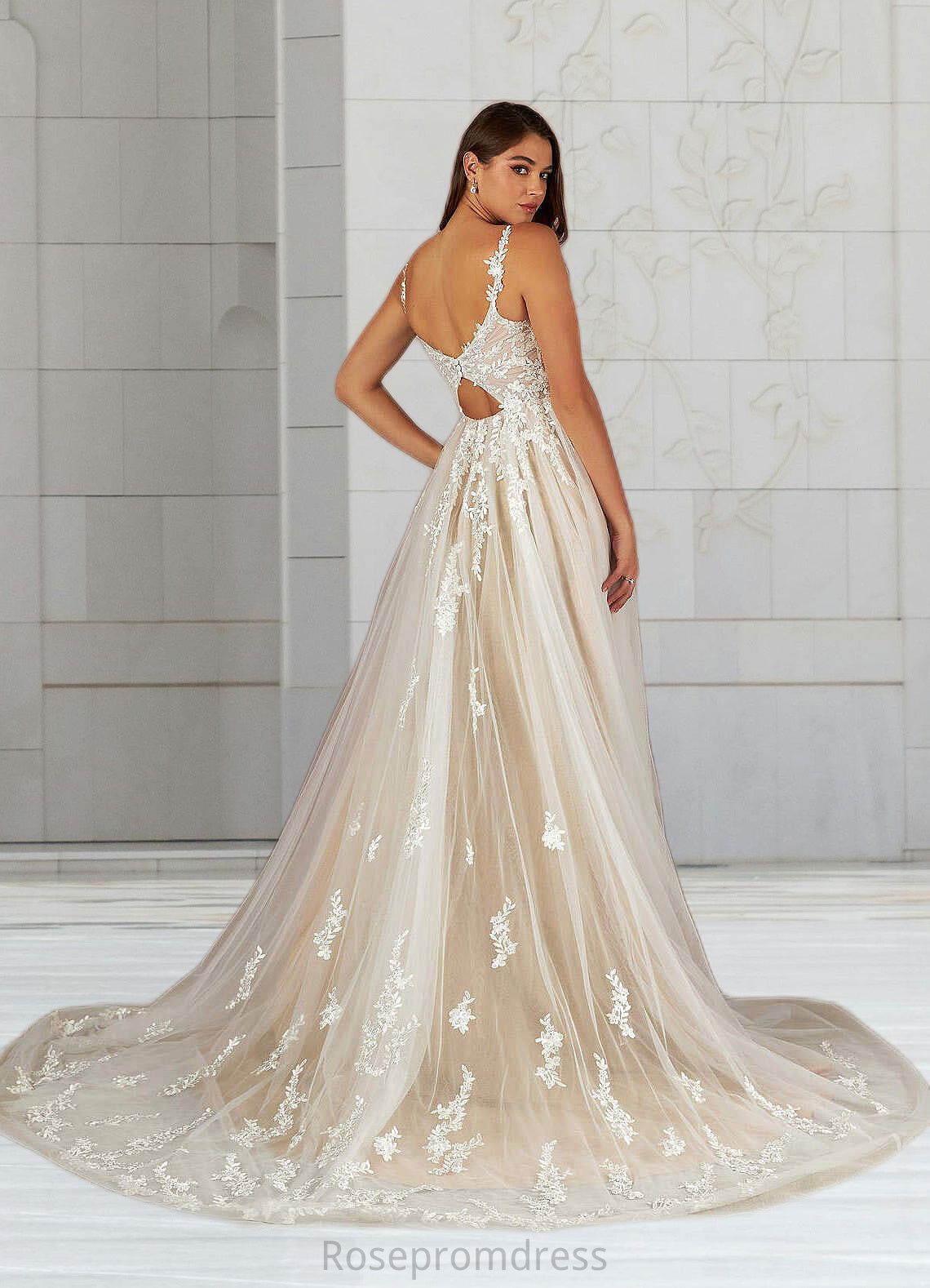 Leyla A-Line Lace Tulle Cathedral Train Dress Diamond White/Nude SRSP0022784
