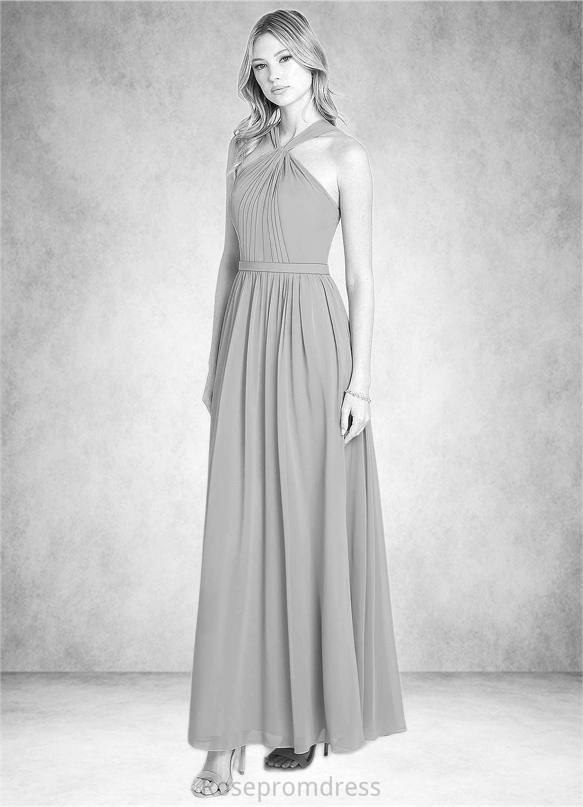 Alejandra A-Line Pleated Chiffon Floor-Length Dress SRSP0019714