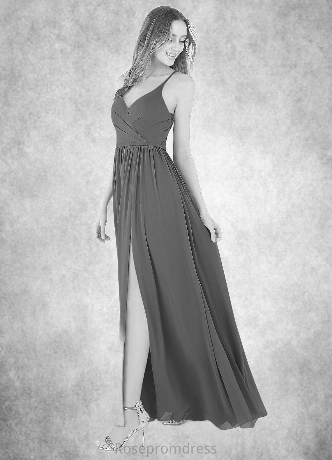 Eliana A-Line Pleated Chiffon Floor-Length Dress SRSP0019647