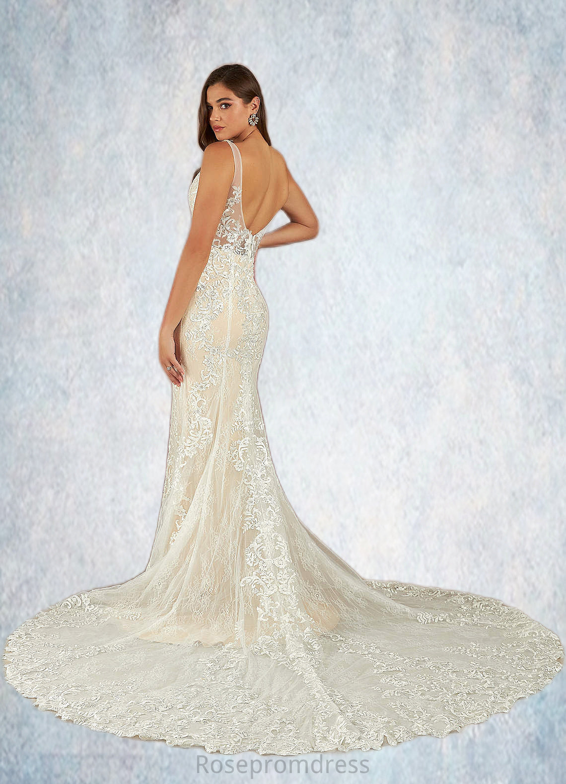 Riley Mermaid Lace Tulle Cathedral Train Dress SRSP0020074