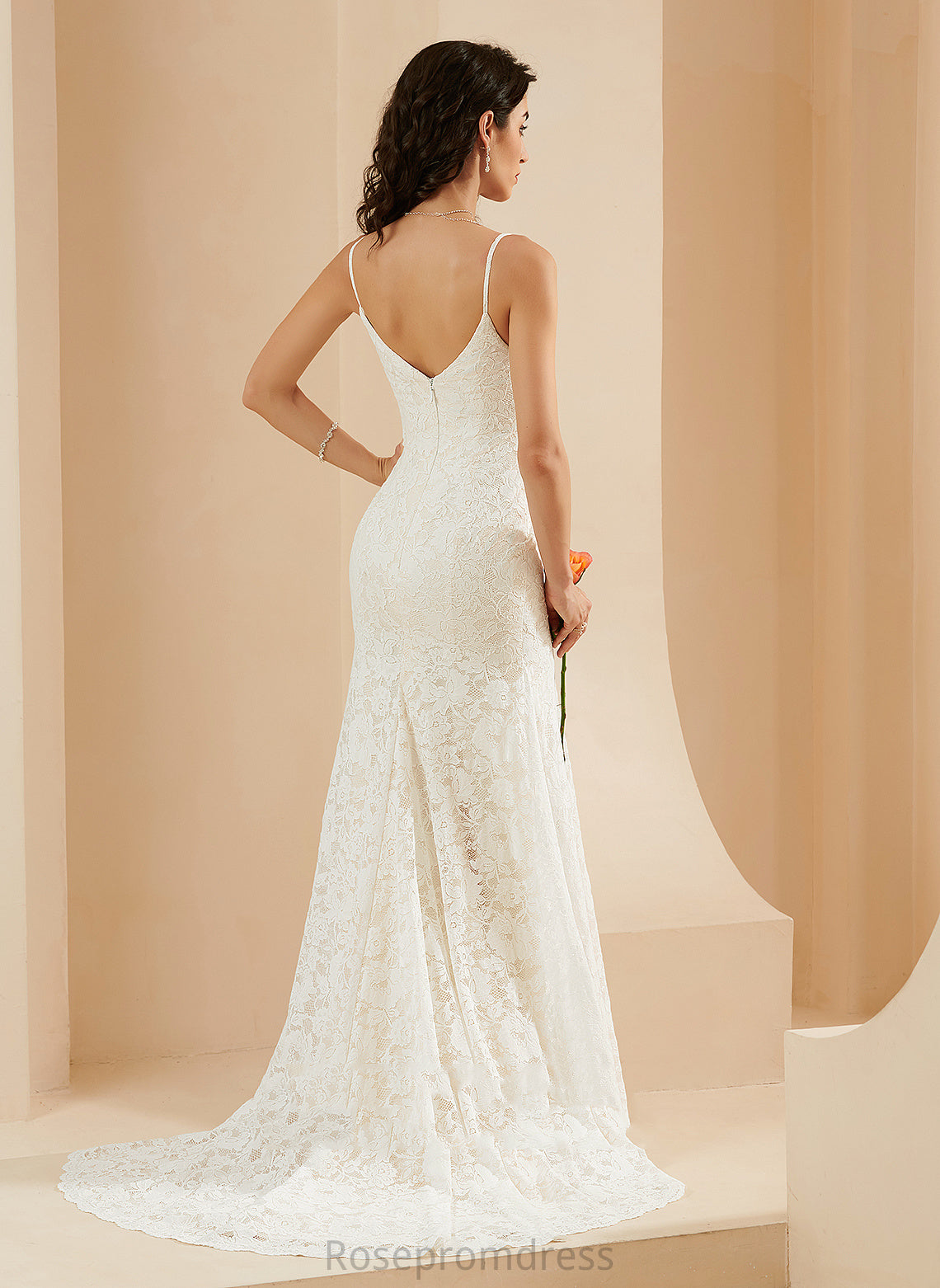 Kyla V-neck Lace Court Trumpet/Mermaid Dress Wedding Wedding Dresses Train