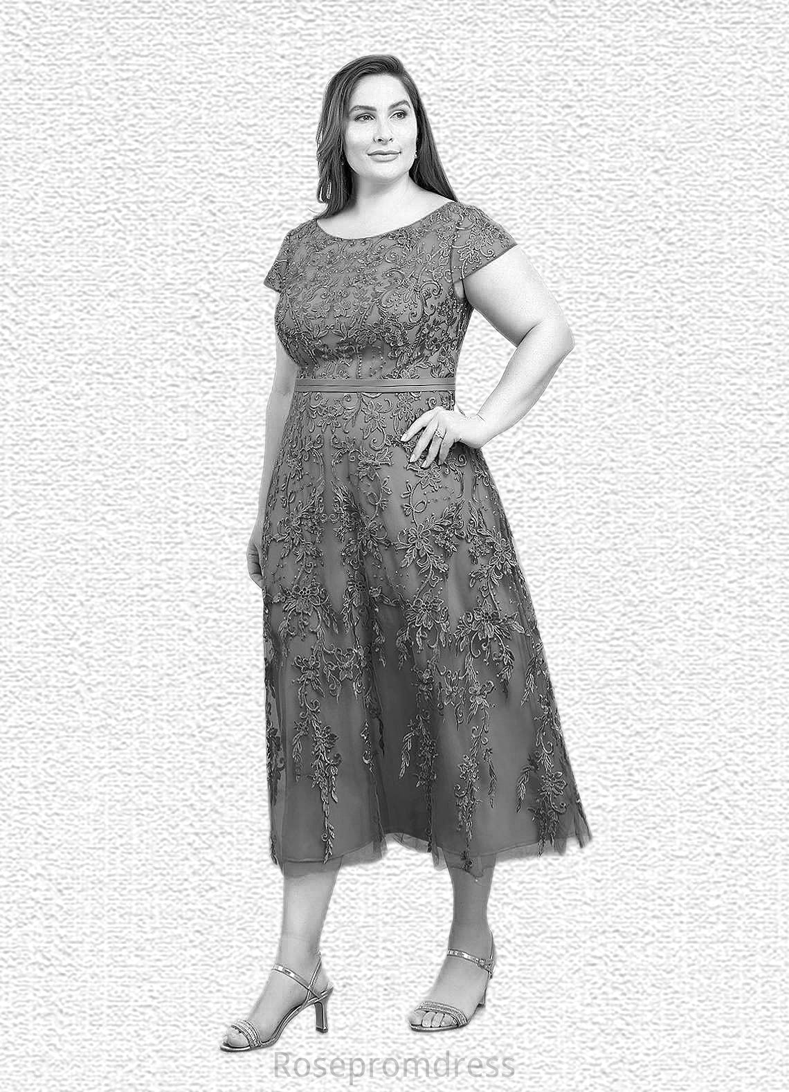 Emilia A-Line Lace Tulle Tea-Length Dress SRSP0019839