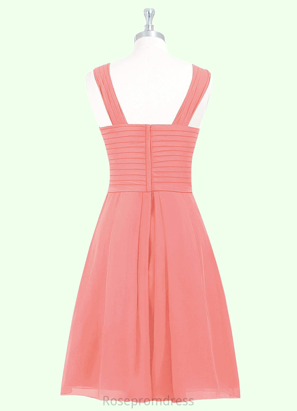 Aliya A-Line Pleated Chiffon Knee-Length Dress SRSP0019679