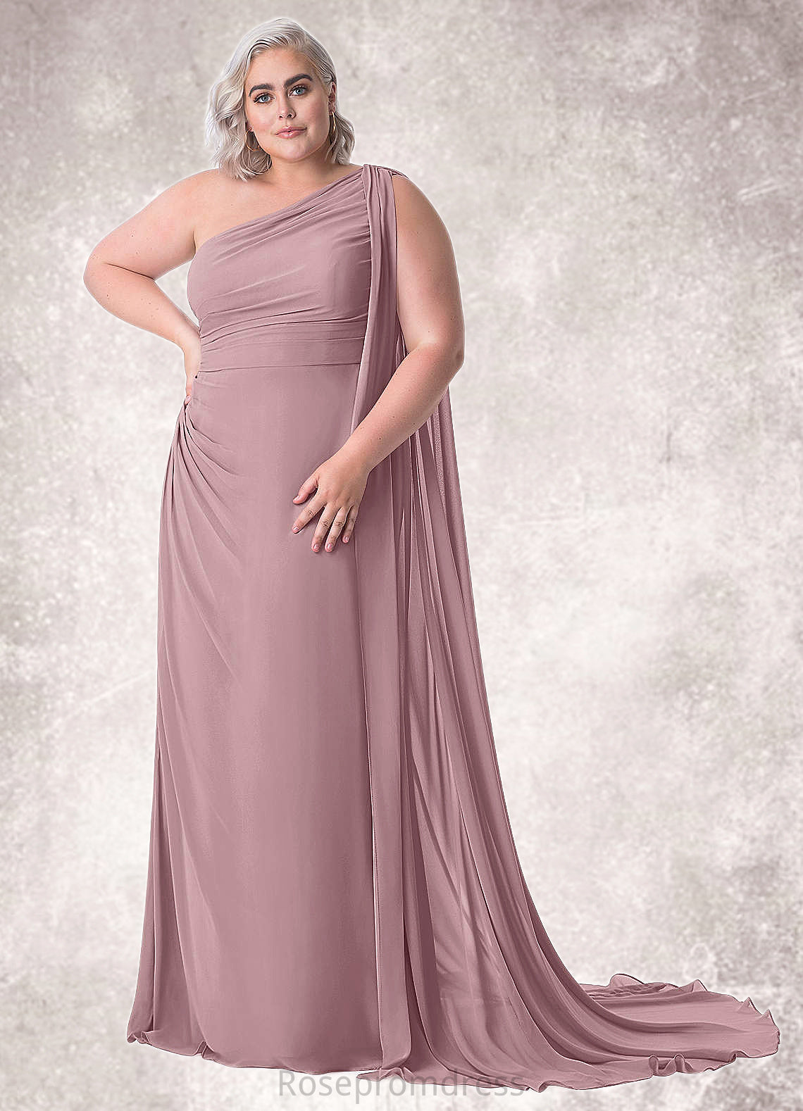 Kyla Mermaid One Shoulder Chiffon Chapel Train Dress SRSP0019739