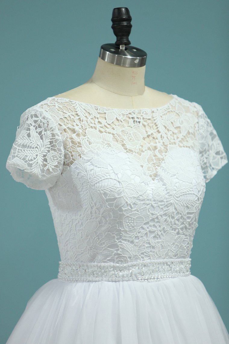 2024 Bateau Wedding Dresses A-Line Tulle Cap Sleeves Zipper Back Court Train