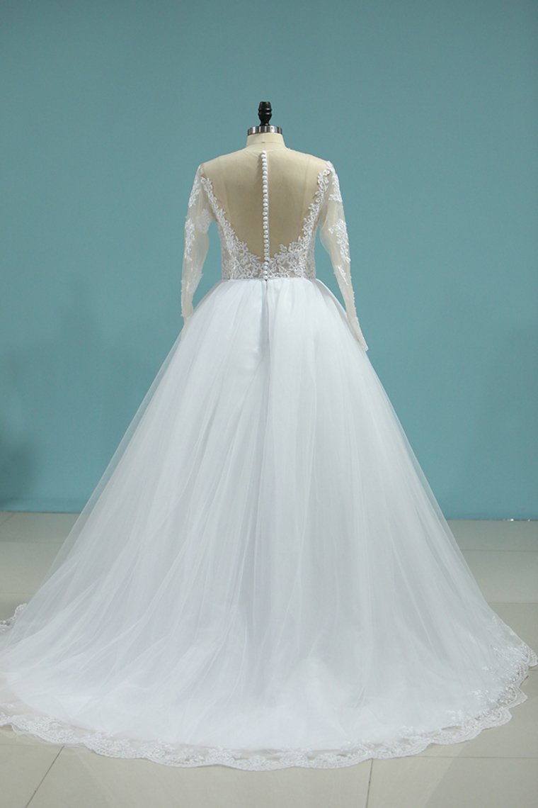 2024 Wedding Dresses Scoop Long Sleeves A Line Tulle With Applique