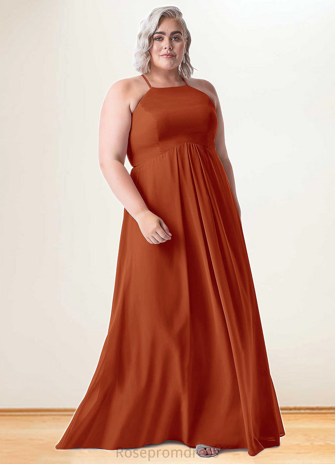 Nellie Empire Pleated Chiffon Floor-Length Dress SRSP0019686