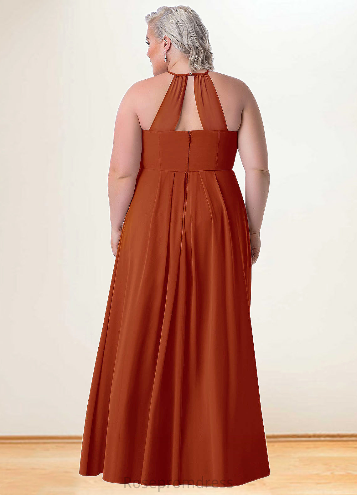 Nellie Empire Pleated Chiffon Floor-Length Dress SRSP0019686