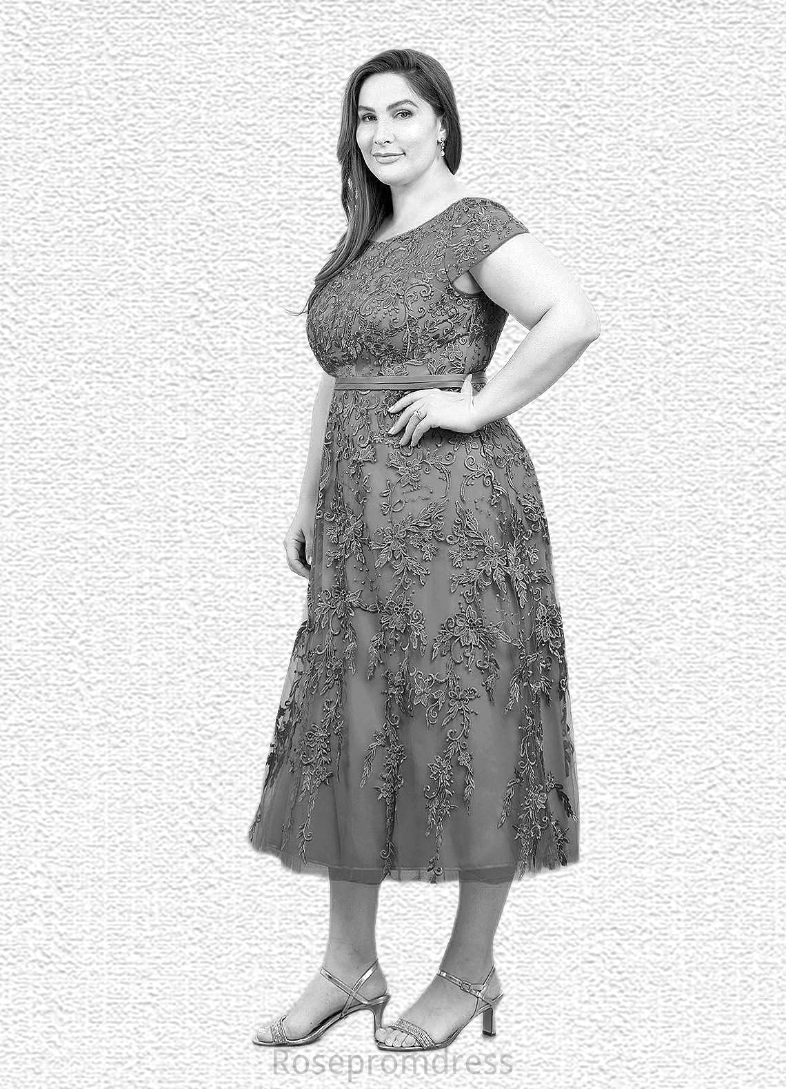 Emilia A-Line Lace Tulle Tea-Length Dress SRSP0019839