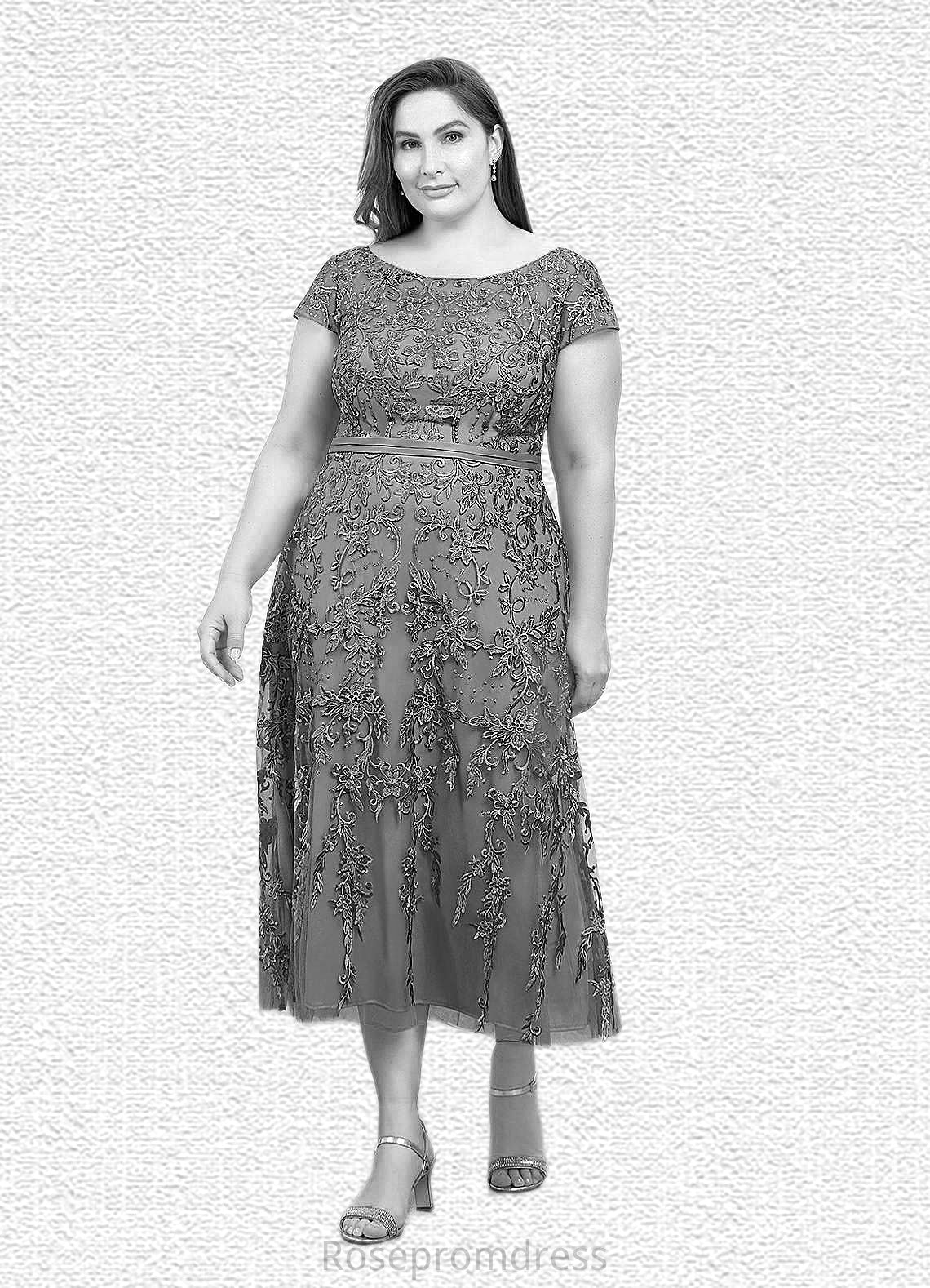 Emilia A-Line Lace Tulle Tea-Length Dress SRSP0019839