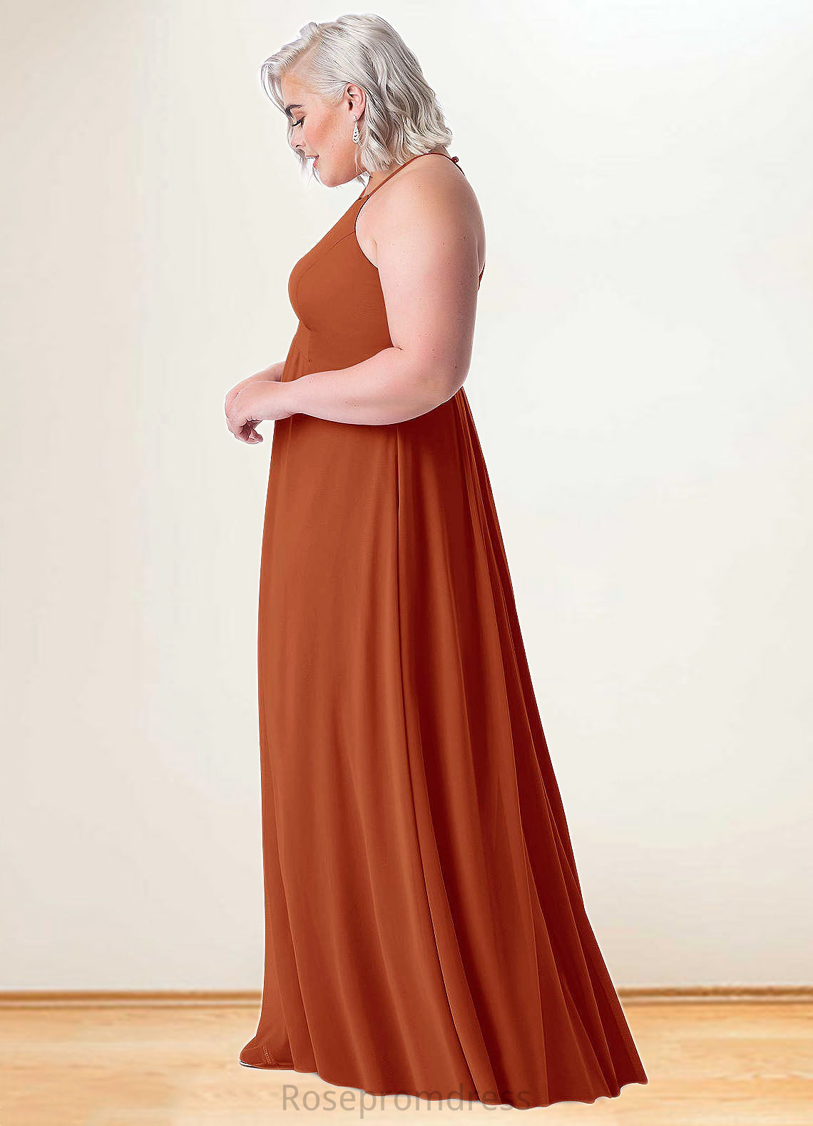 Nellie Empire Pleated Chiffon Floor-Length Dress SRSP0019686