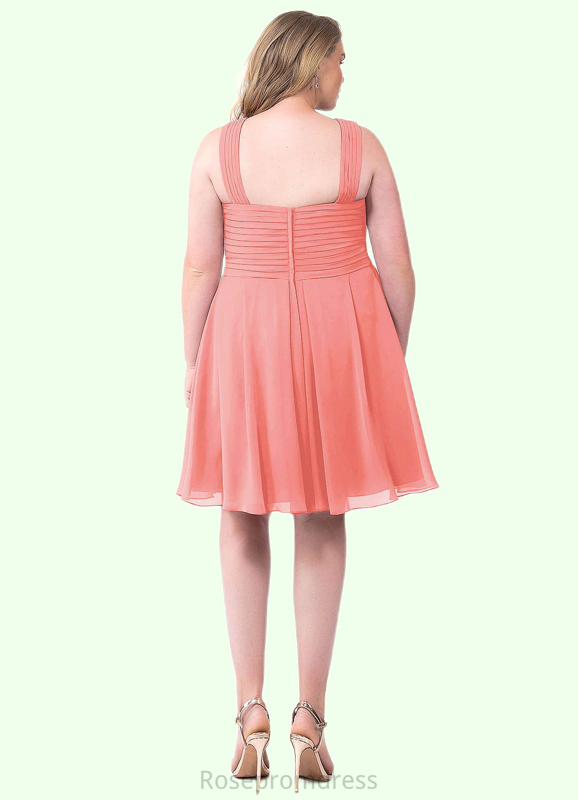 Aliya A-Line Pleated Chiffon Knee-Length Dress SRSP0019679