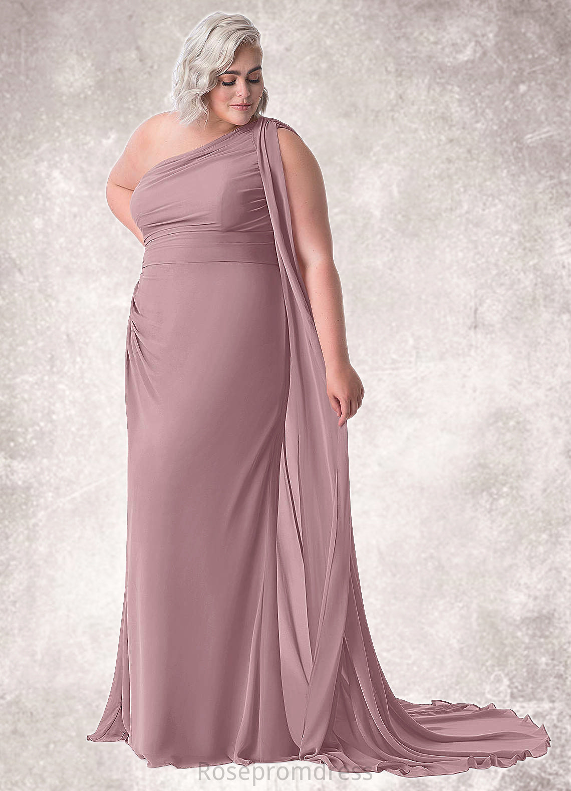 Kyla Mermaid One Shoulder Chiffon Chapel Train Dress SRSP0019739