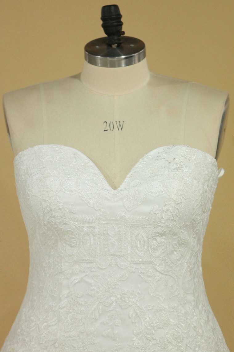 2024 Plus Size Sweetheart Tulle With Applique Court Train A Line Wedding Dresses