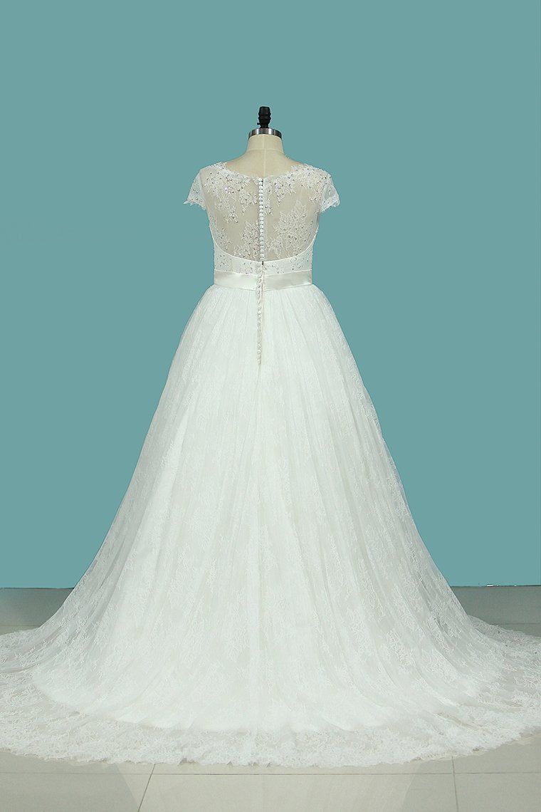 2024 Wedding Dresses A Line V Neck Lace & Tulle With Sash Sweep Train
