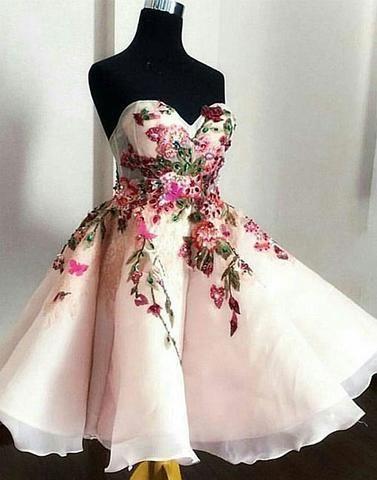 Aline Beige Hollow Sleeveless Homecoming Dresses Ruby Appliques Sweetheart Neckline Short CD9751