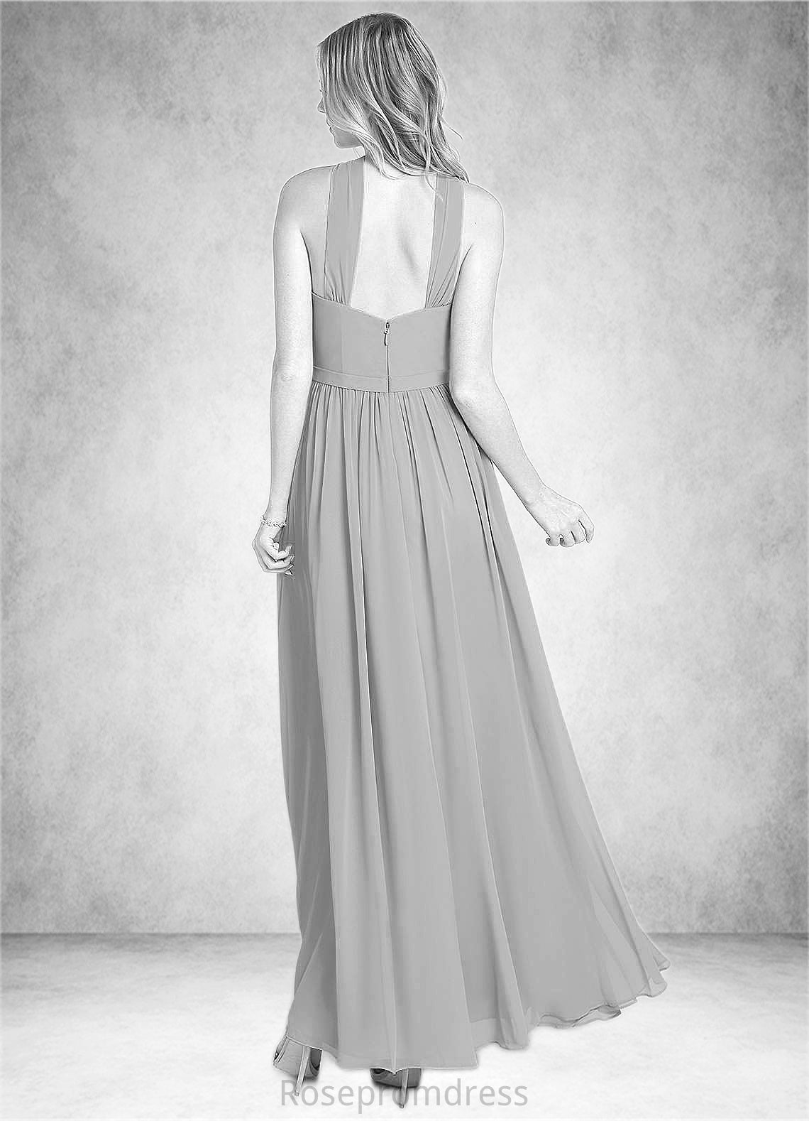 Alejandra A-Line Pleated Chiffon Floor-Length Dress SRSP0019714