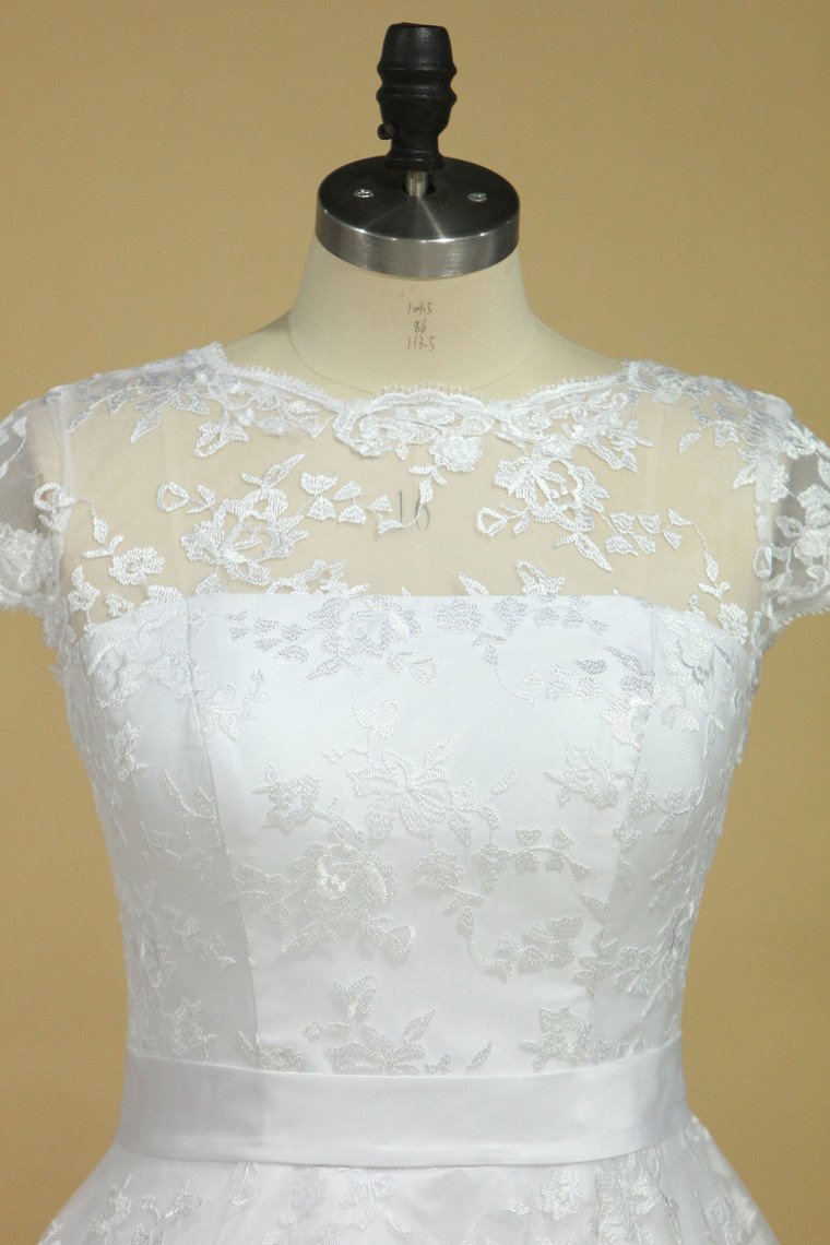 2024 Plus Size Scoop Short Sleeve Knee-Length A Line Lace With Sash Wedding Dresses