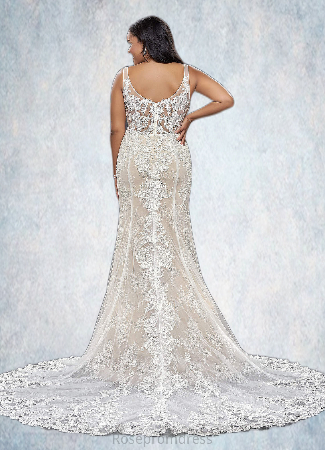 Riley Mermaid Lace Tulle Cathedral Train Dress SRSP0020074