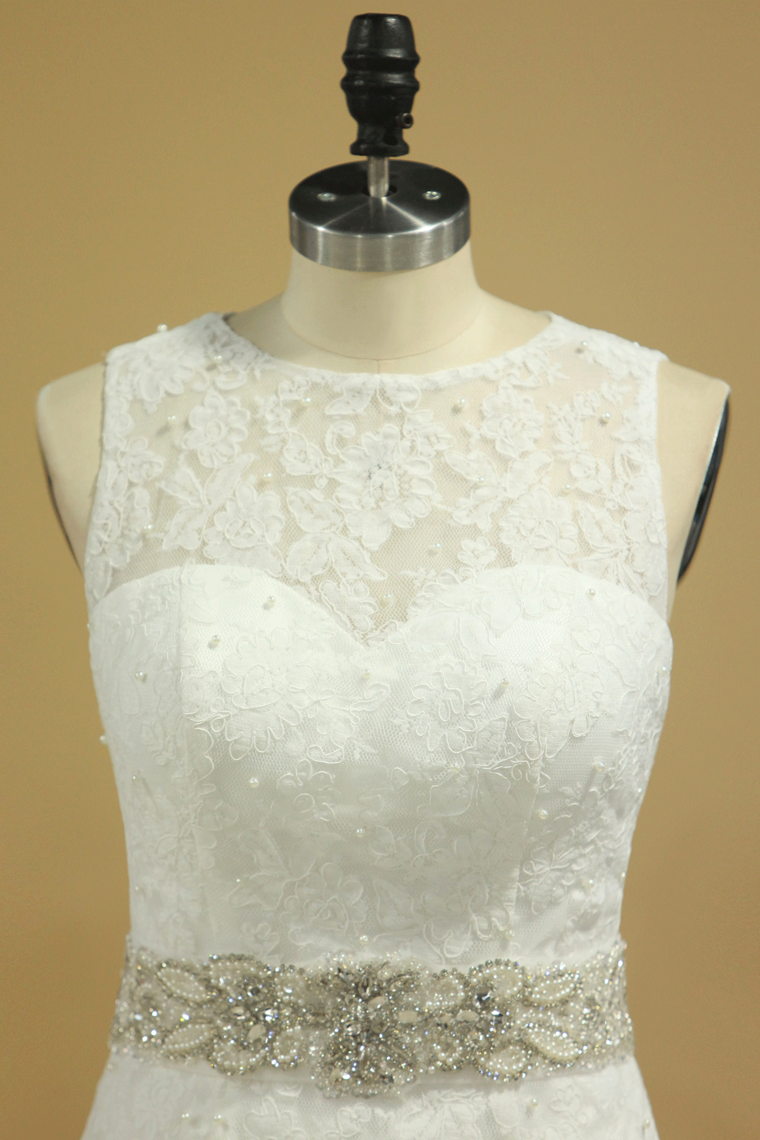 2024 Plus Size Scoop Wedding Dresses Chic Mermaid/Trumpet Chapel Train
