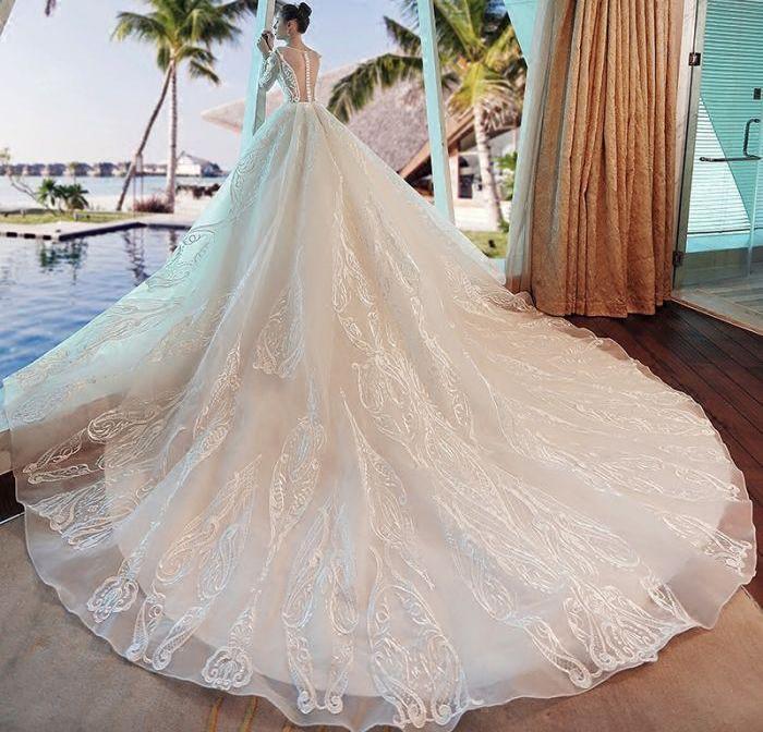 2024 Gorgeous Scoop Lace Appliques Flowers White Organza Long Sleeve Wedding SRS10080