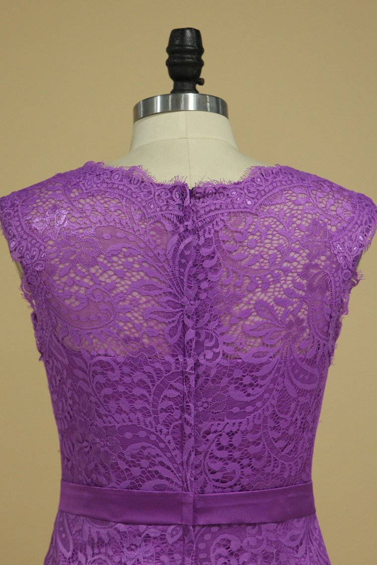 2024 Lace Mother Of The Bride Dresses Sheath Scoop With Sash