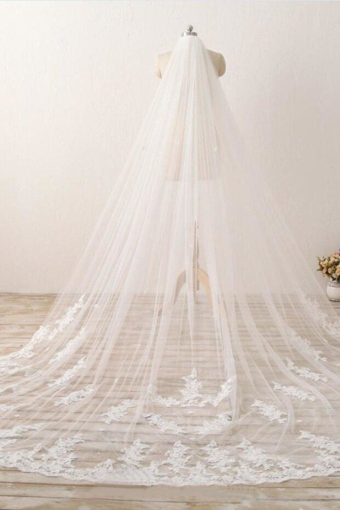 3M Long Embroidered Lace Appliques Tulle Cathedral Veil for Wedding Wedding Veil RS869