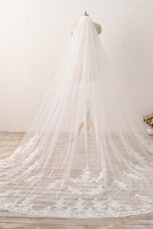 3M Long Embroidered Lace Appliques Tulle Cathedral Veil for Wedding Wedding Veil RS869